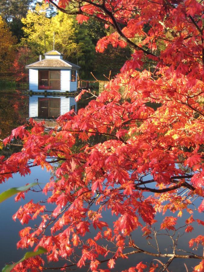 肯图巴Dantosa Blue Mountains Retreat别墅 外观 照片