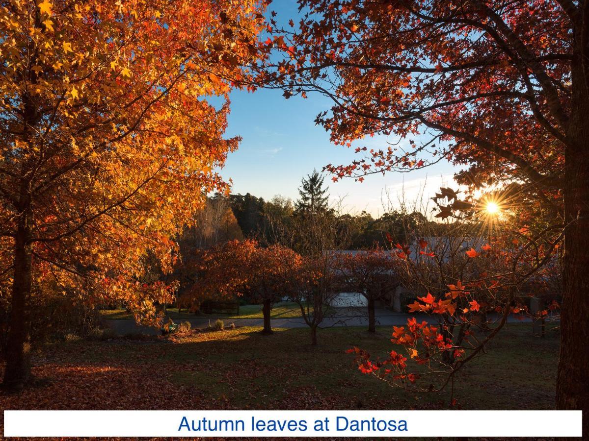 肯图巴Dantosa Blue Mountains Retreat别墅 外观 照片