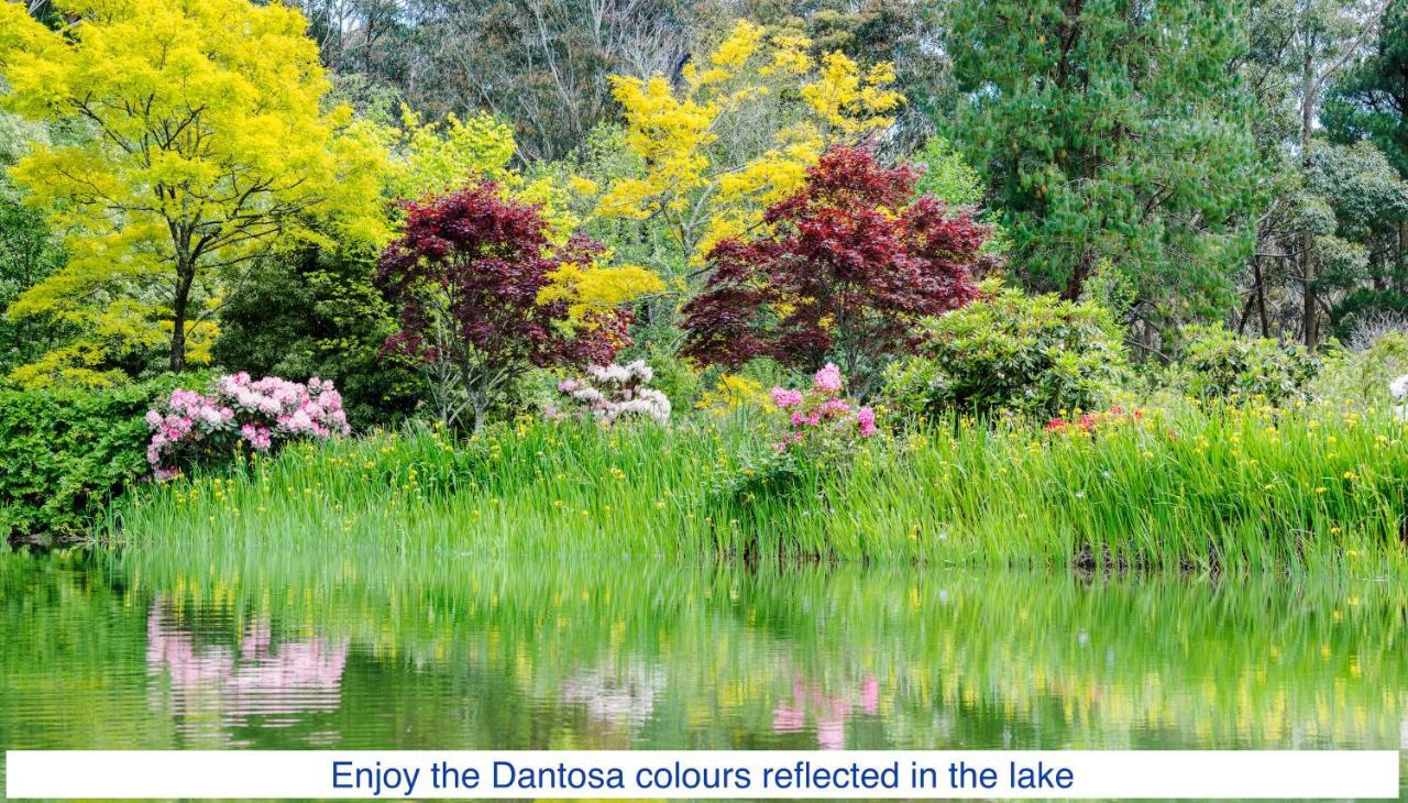 肯图巴Dantosa Blue Mountains Retreat别墅 外观 照片